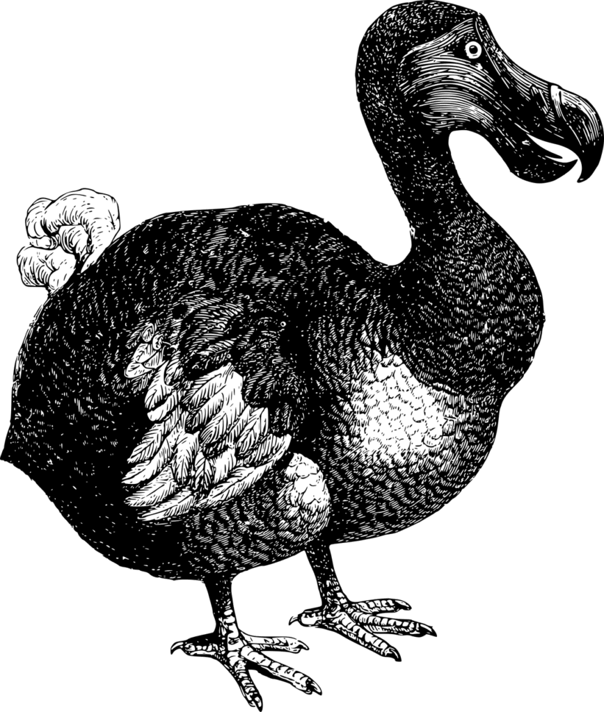 Oxford Dodo
