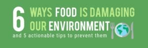 Food Is Damaging The Environment