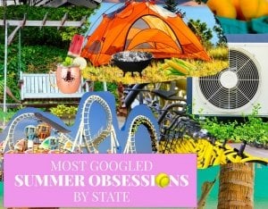 Most Googled Summer Obsessions By State