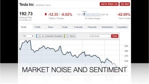 Tesla Stock Crash Analysis