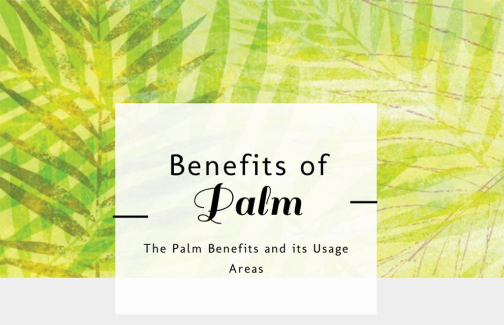 Palm Oil Uses