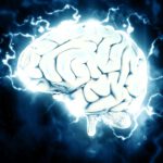 Neuroscience Language Acquisition Brain Health
