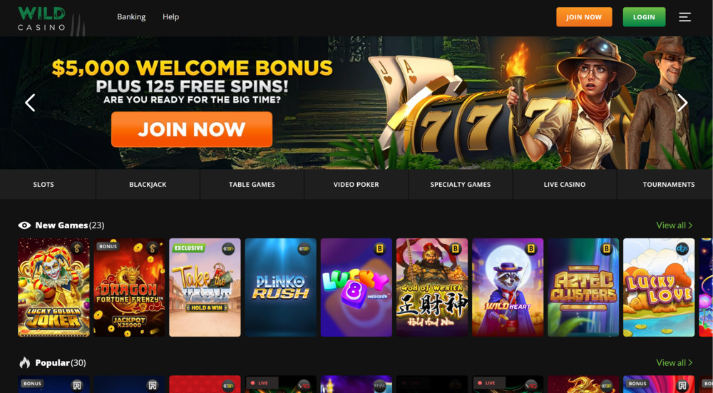 Wild Casino lobby with $5,000 bonus and games