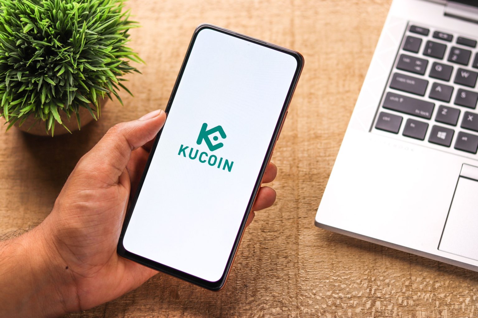 6 KuCoin New Listings to Watch Out For in 2025