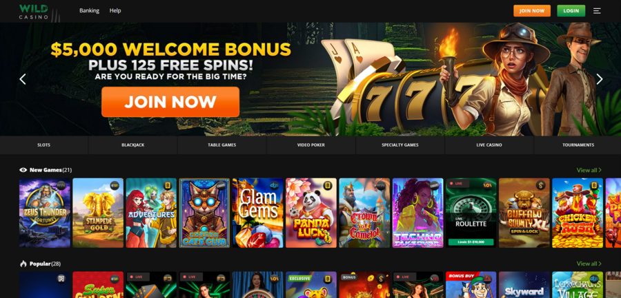 The homepage of Wild Casino, displaying the welcome bonus and other goodies, but also the game library