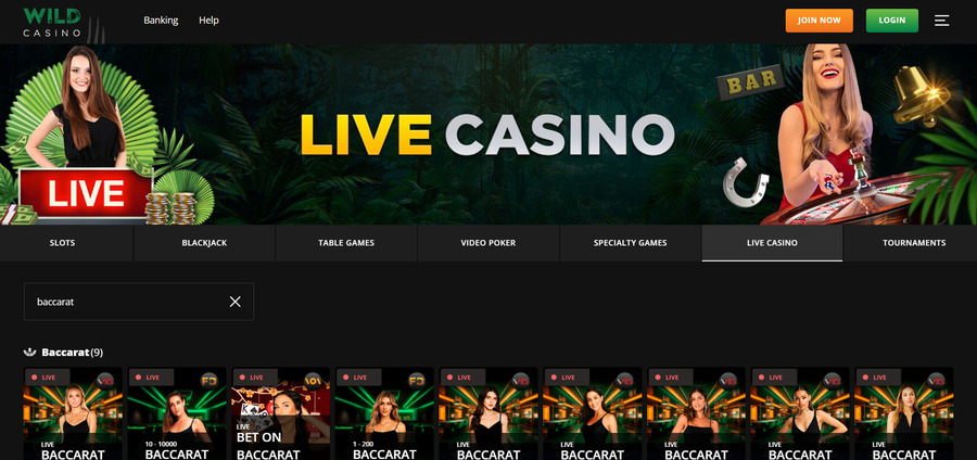 A preview of Wild Casino as a high-value baccarat option with sign-up and no-deposit bonuses. 