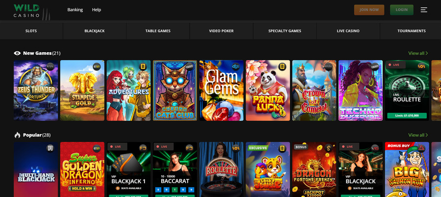 Wild Casino makes all your favorite games easy to find thanks to its flawless organization and filtering system.