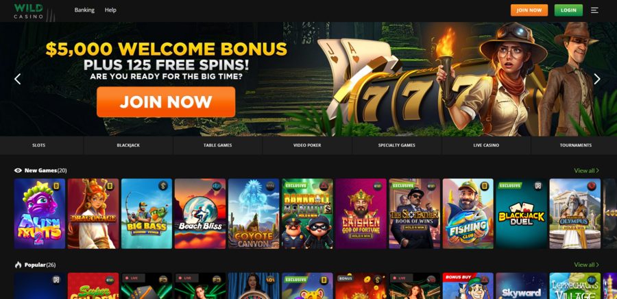 Wild Casino homepage with an overview of the games and main promotions.