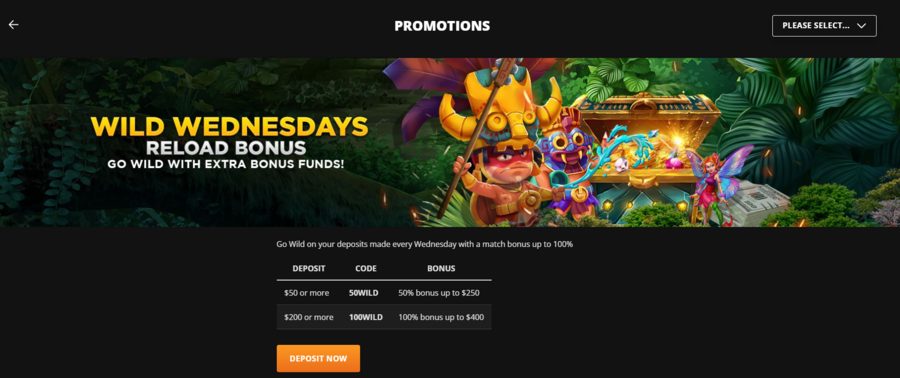 Overview of Wild Casino’s Wild Wednesdays reload bonus.