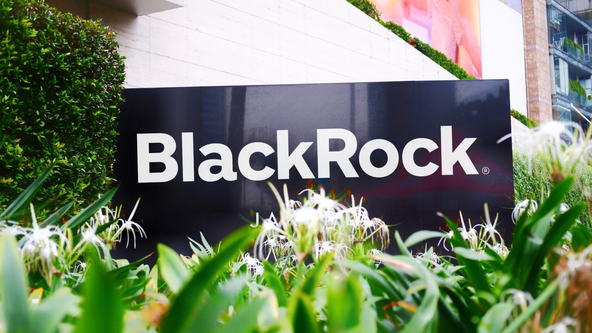 blackrock stock